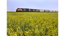 Train in Aberdeen SK